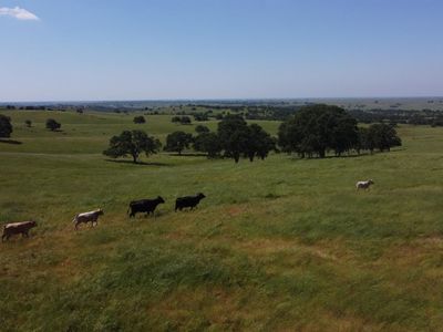 27077 Cooperstown Rd, La Grange, CA, 95329