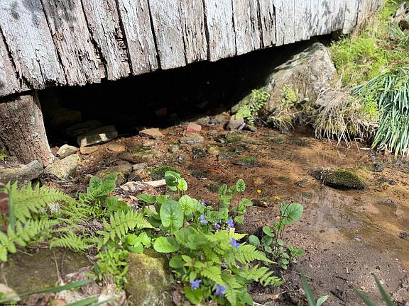 29th image of 2494 Seng Run Rd