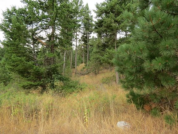 4th image of 127 Corral Dr