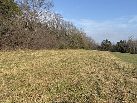 3rd image of 0 Trousdale Ferry Pike Lot 1