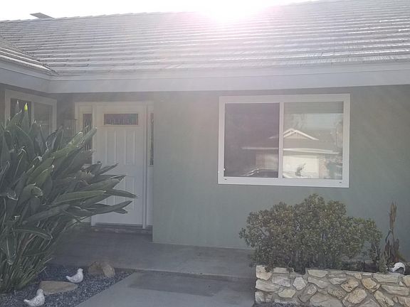 Bird of paradise is perfect for hiding Amazon packages.