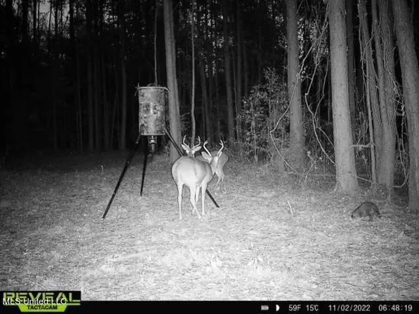 8 Cole Dr SE, Ruth, MS 39662