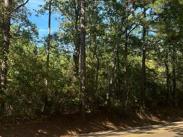1059 Sulphur Springs Rd, Camden, MS 39045