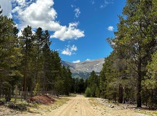 361 Fir Dr, Twin Lakes, CO 81251