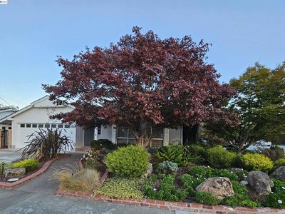 3305 Arcadian Dr, Castro Valley, CA, 94546
