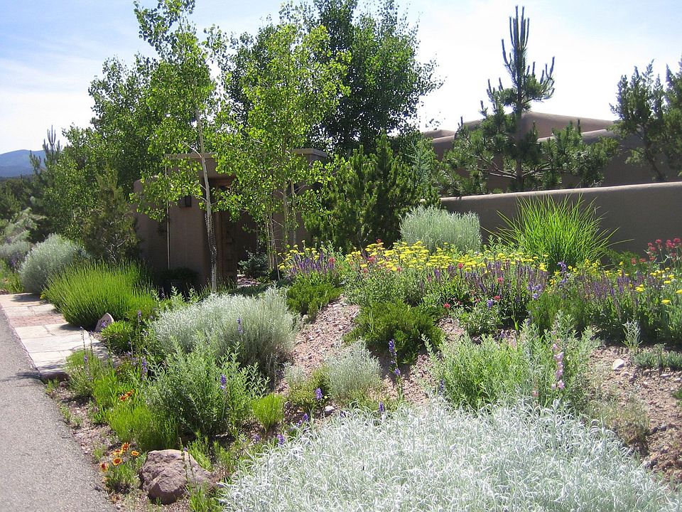 Following the example of Eastside estates, it's sited toward the front of the property, near the roa