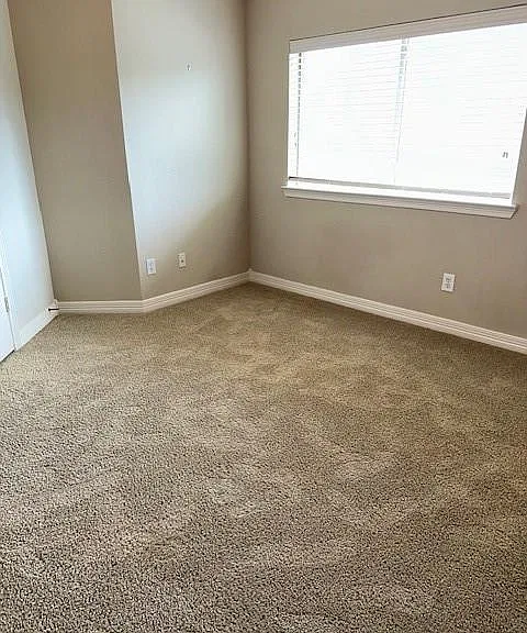 12010 Paladora Point Ct — Photo 34