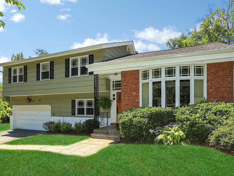 52 Black Birch