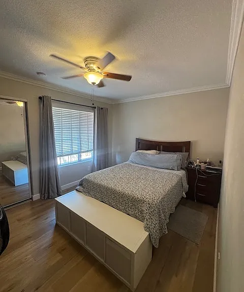 11042 Promesa Dr — Photo 11