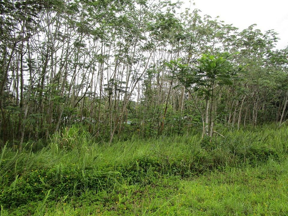 1st image of 26th Avenue Olena Lot 818
