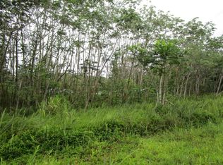 26th Avenue Olena LOT 818, Keaau, HI 96749