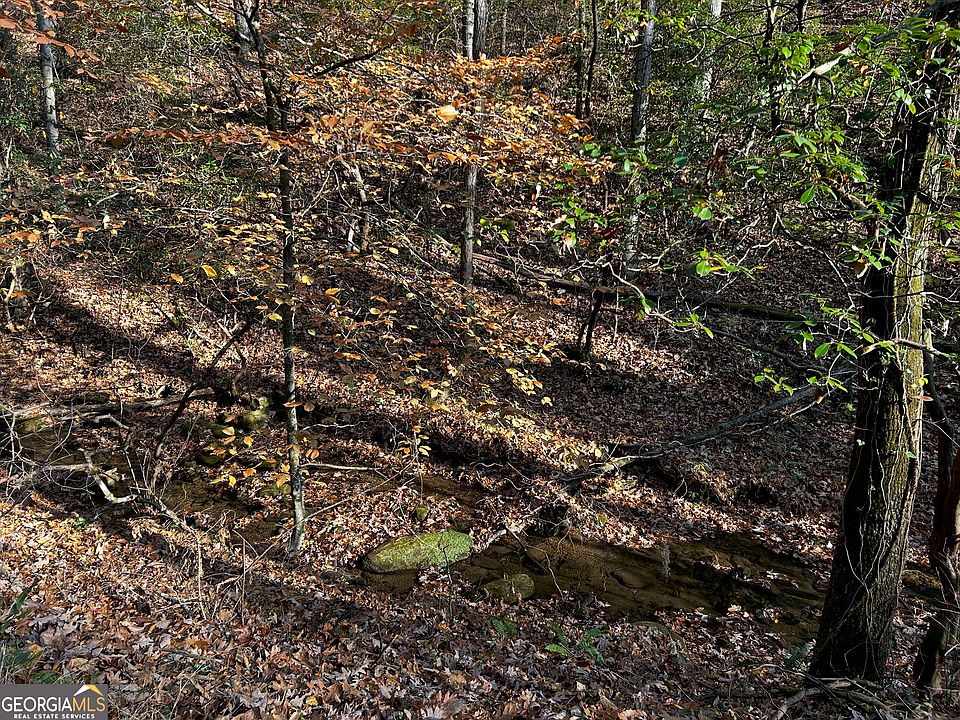 2nd image of 308 Rhododendron Ln
