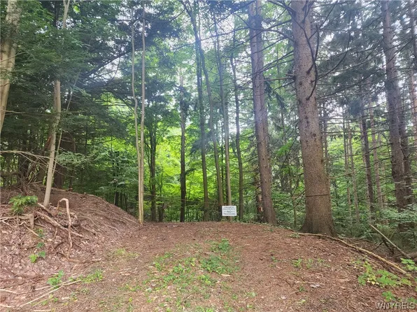 0 Brown Hill Rd #54, Boston, NY 14025