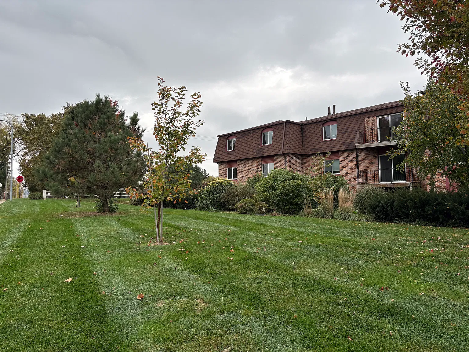 2 bed, 900 sqft, $1,100 — Photo 4