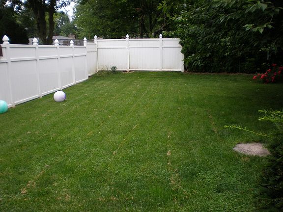 Private Backyard-Left