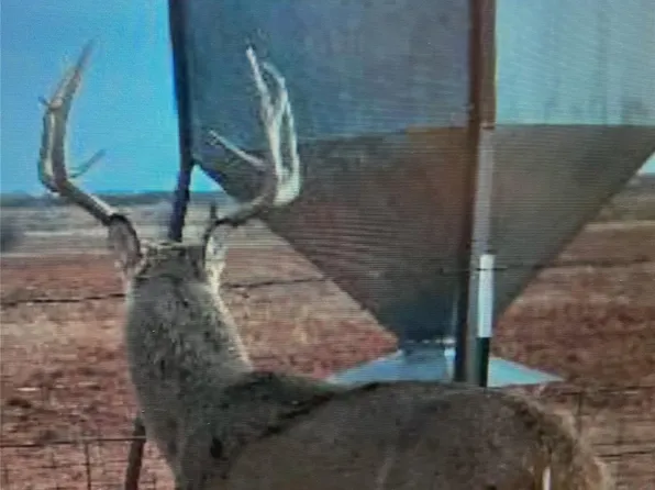 Nka Buckle L Rd, Childress, TX 79201