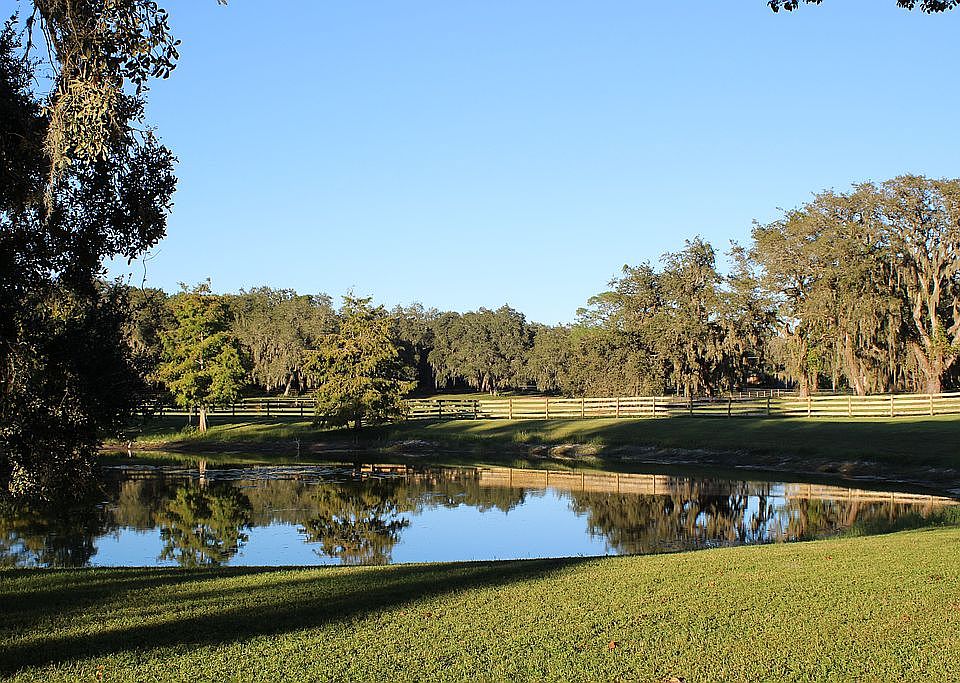 Private fishing pond 