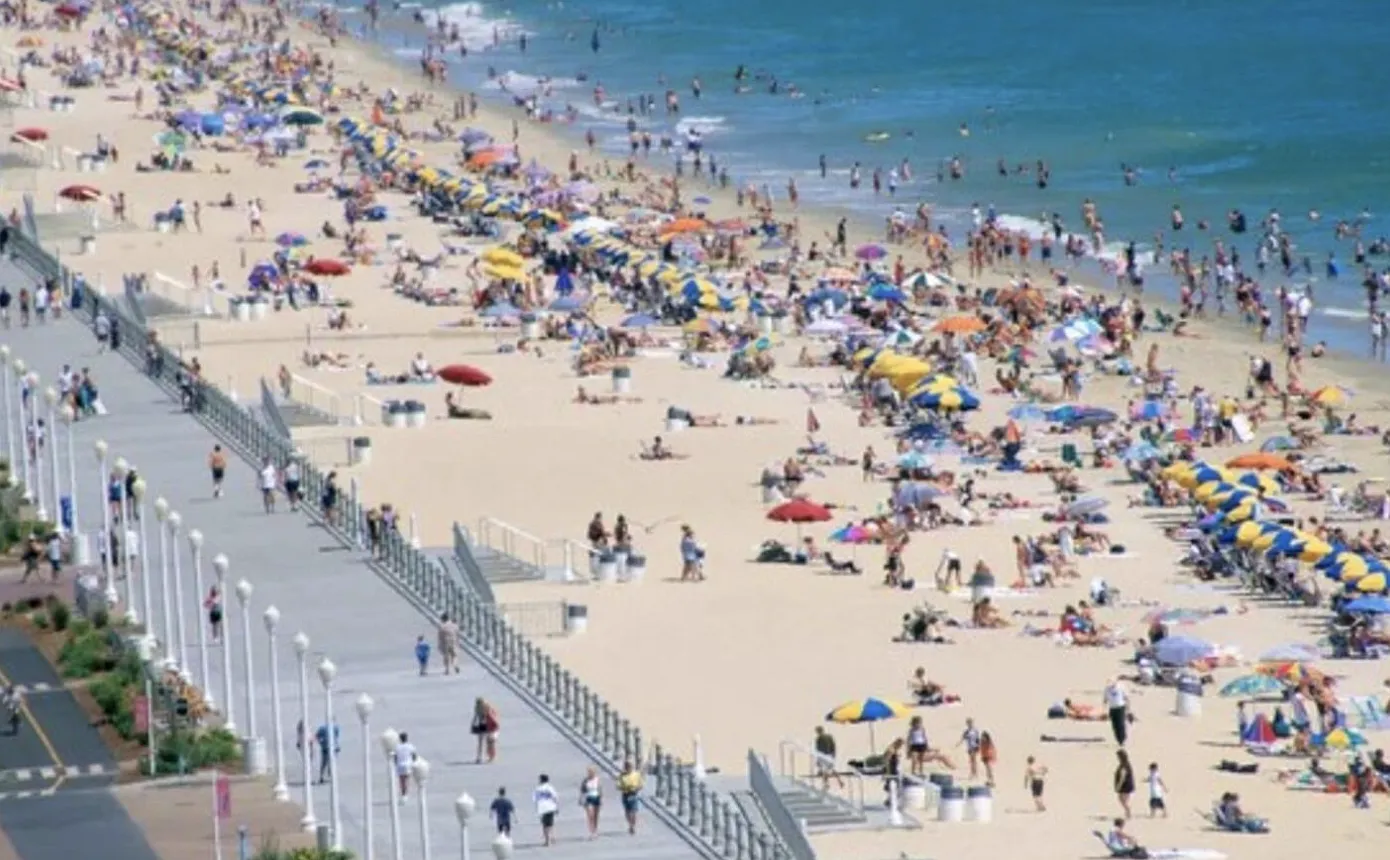 1 bed, 2338 sqft, $1,150 — Photo 2