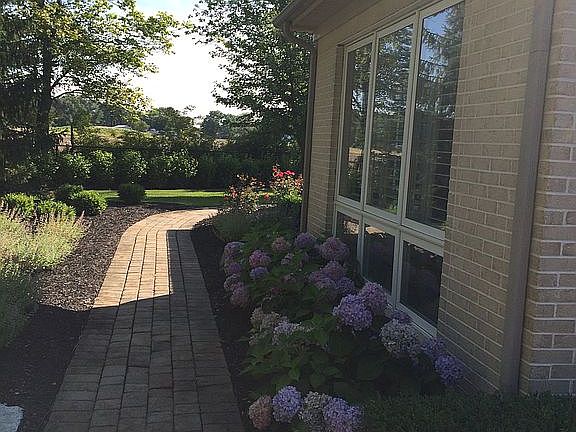 Brick walkway in backyard
