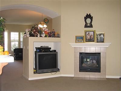 GAS FIREPLACE