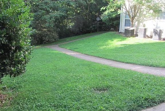 Landscaped Yard