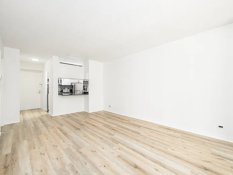 250 E 40th St #8C — Photo 4