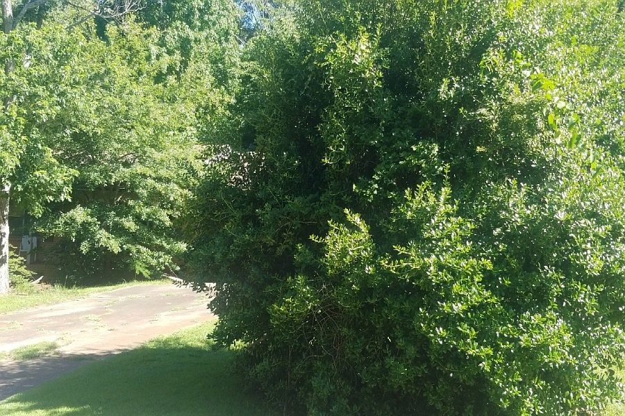 2nd image of 6899 Stephens Dr
