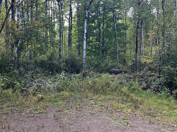 4th image of 4.44 Acres Lavaque Bypass
