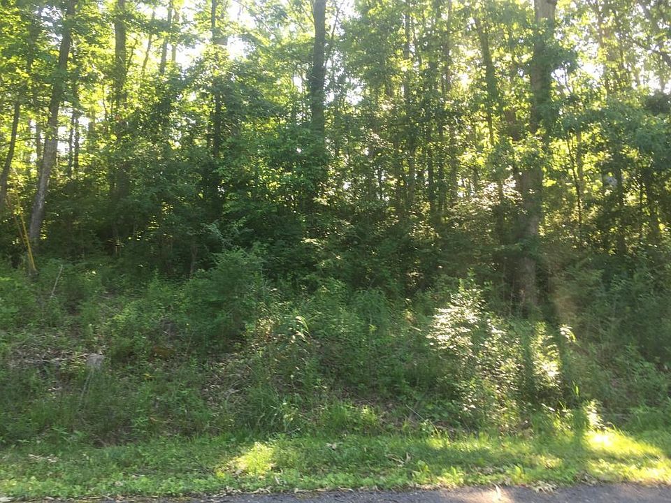 2nd image of Wild Plum Dr