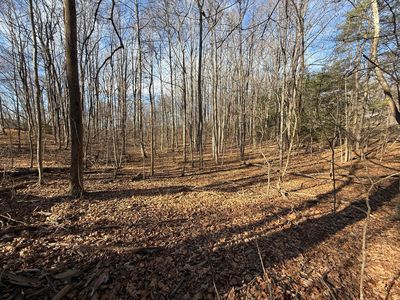 0 Starter Ln #B1, Salem, VA, 24153