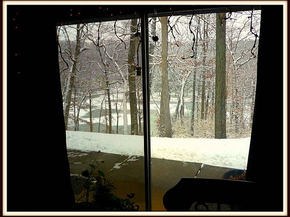 View from Dining Room