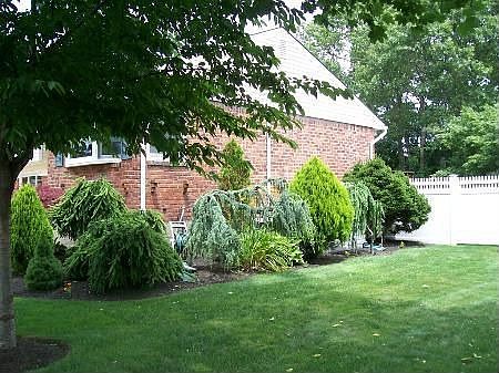 Side Yard