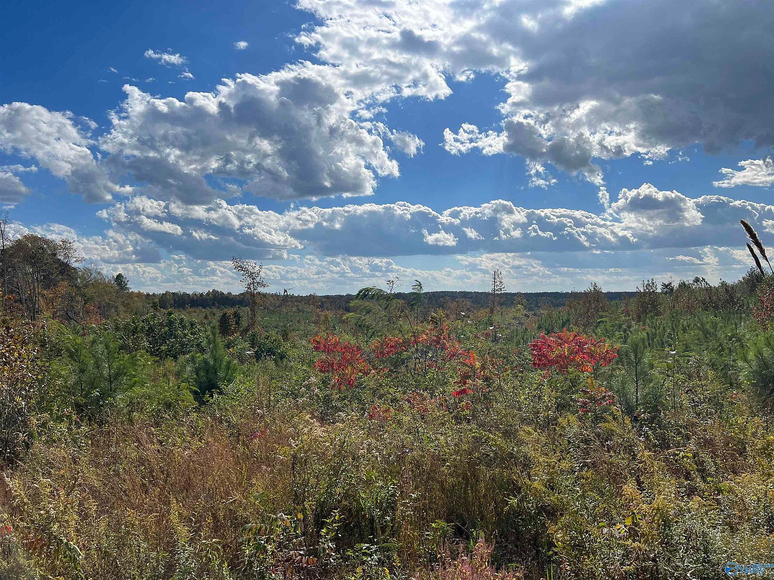 38/ACRE S County Road 684, Flat Rock, AL 35966 Zillow