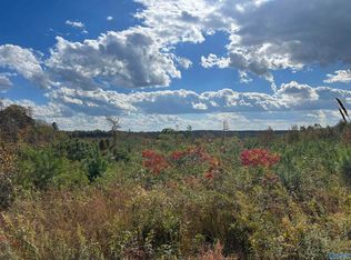 38/ACRE S County Road 684, Flat Rock, AL 35966