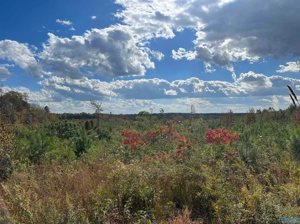 38/ACRE S County Road 684, Flat Rock, AL 35966