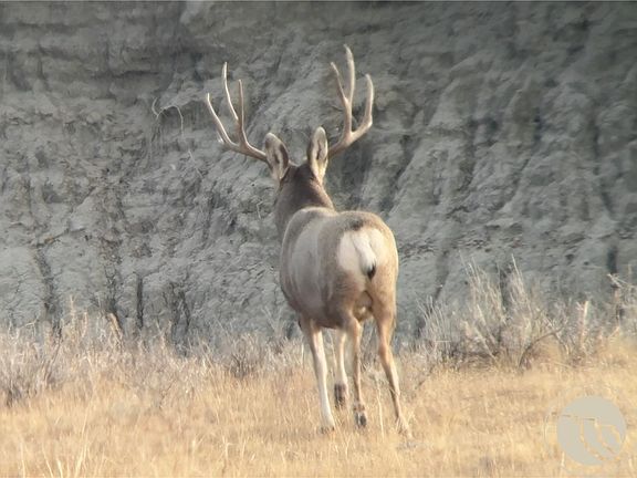 4th image of 314 Oilfield Rd