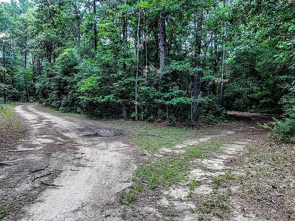 5th image of 127 Buckthorn Acres Dr