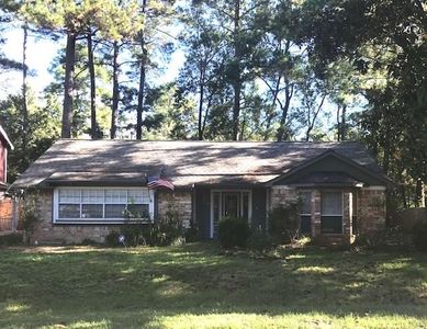 16 E Torch Pine Cir, Spring, TX, 77381