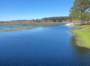 12 Ocale Way N, Summerfield, FL 34491