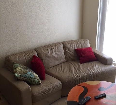 4th image of 101 Palm Harbor Pkwy Suite 204A