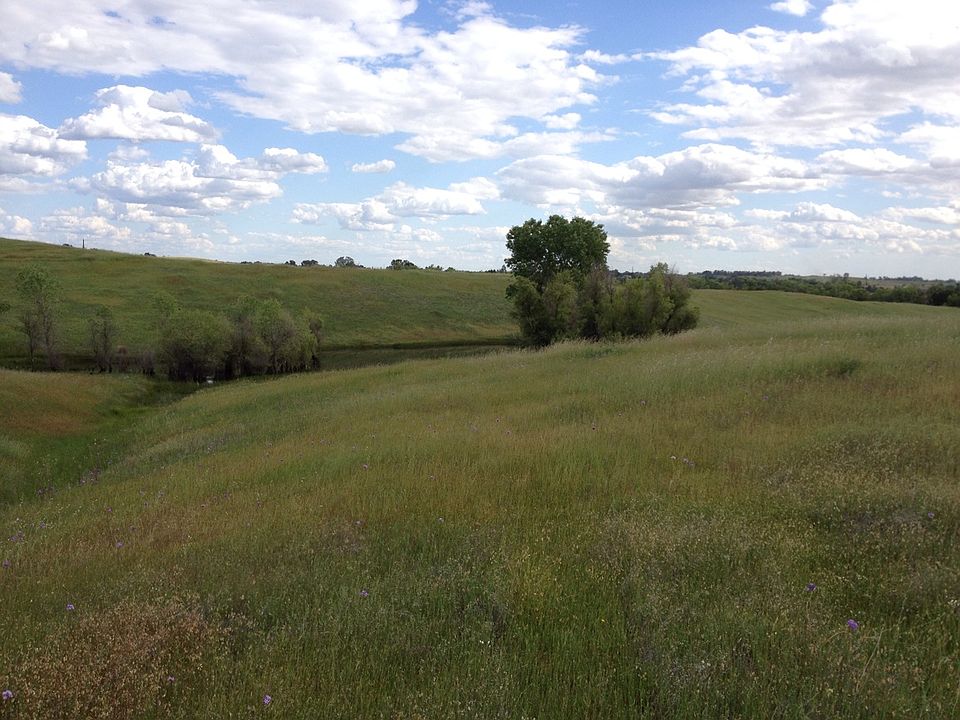 2nd image of Camp Far West Rd