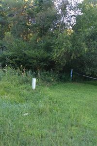 LOT 115 Saxis Rd, Temperanceville, VA, 23442