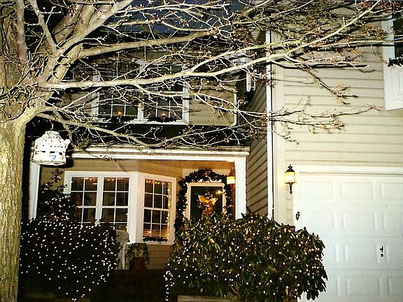 winter wonderland