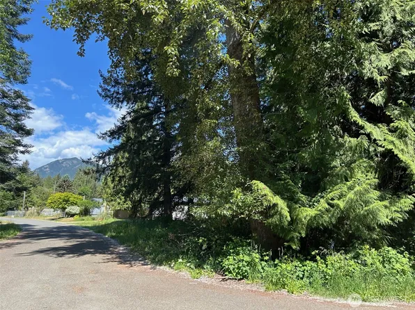 201 Morgan Lane, Brinnon, WA 98320