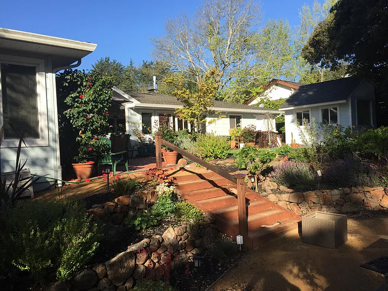 Backyard from lower yard