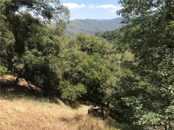 0 Buck Rd Lot 47, Cedarpines Park, CA 92322