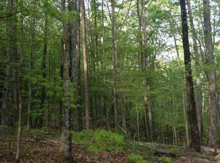8 Leggett Rd #8, Sale Creek, TN 37373