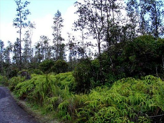 1st image of Road 9 Koloa Maoli Lot 5496