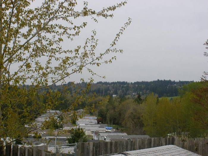 View From Back Deck