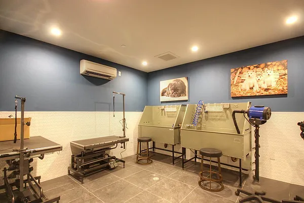 Rented by JW Real Estate Services LLC | media 67